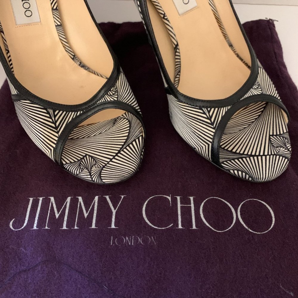 Jimmy Choo Hardy Silk Peep Toe Pumps Art Deco Print Nappa Leather 40.5 1…